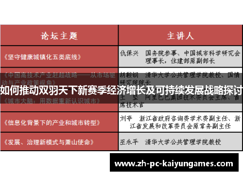 如何推动双羽天下新赛季经济增长及可持续发展战略探讨