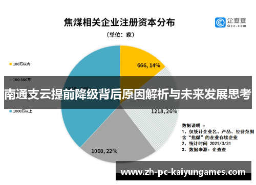 南通支云提前降级背后原因解析与未来发展思考
