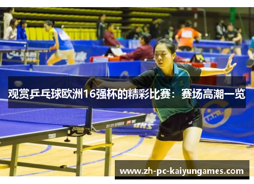 观赏乒乓球欧洲16强杯的精彩比赛：赛场高潮一览