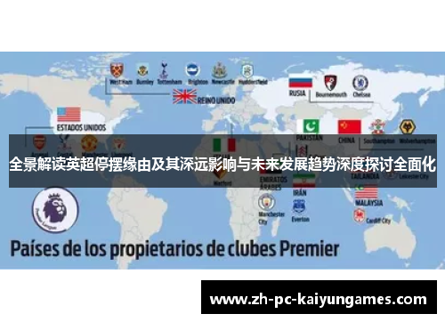 全景解读英超停摆缘由及其深远影响与未来发展趋势深度探讨全面化