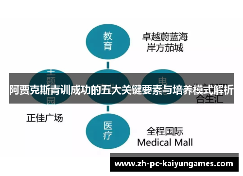 阿贾克斯青训成功的五大关键要素与培养模式解析 阿贾克斯青训成功的五大关键要素与培养模式解析